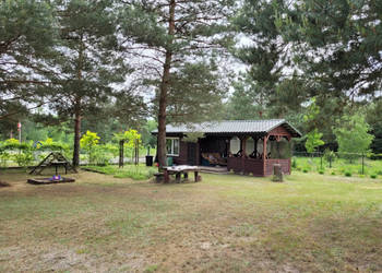 Działka budowlana, rekreacyjna 9,5a domek media j. Białe Okuninka