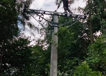 Wycinka drzew metodą alpinistyczną/ Arborysta