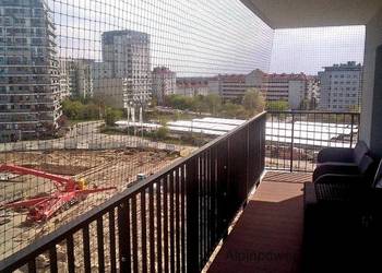Montaż siatki na balkon dla kota bez wiercenia Warszawa Siatka Na Balkon Montaż siatki na balkon dla kota bez wiercenia Warszawa Siatka Na Balkon