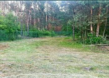 Dzialka budowlana las, woda, prąd.