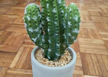 Sztuczny kaktus w doniczce dekoracja