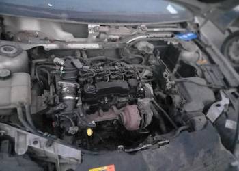 Ford focus kombi 1,6 tdci cały na części