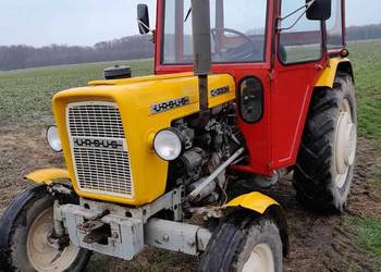 Ursus C 330.1986r  I właściciel