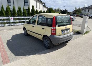 Wypożyczalnia aut Szczecin oferuje Fiata panda