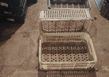 Skrzynki plastikowe 15 kg