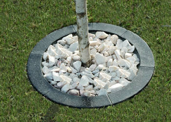 Obrzeże trawnikowe do drzew- śr. 50