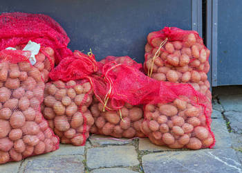 Sprzedam ziemniaki Red Sonia Jadalne / Sadzeniaki/ Paszowe