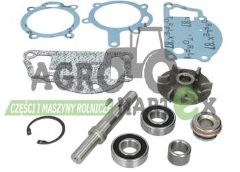 3637411M91, 4131A013 ZESTAW NAPRAWCZY POMPY WODY AGCO