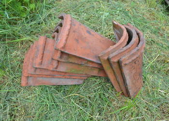 gąsiory dachowe