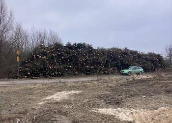 Biomasa energetyczna 49,99 pln za 1 mp