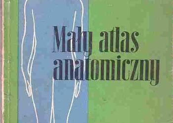 (4742) MAŁY ATLAS ANATOMICZNY – WITOLD SYLWANOWICZ