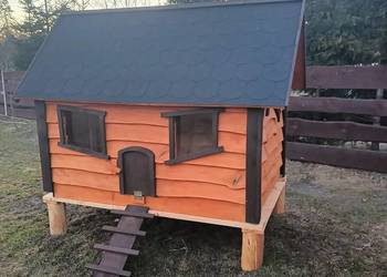 Kurnik domek dla Kurek