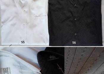 Tailor&Son Roar Old Navy Burberry Lantier Koszula męska