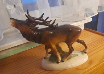 Jeleń na rykowisku Scheidig K.G.