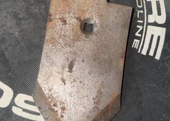 Redlica środkowa/Czubek redlicy grubera