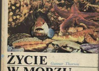 Życie w morzu - Thorson