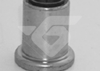 Tuleja wahacza przedniego, przednia Renault Master do 1998