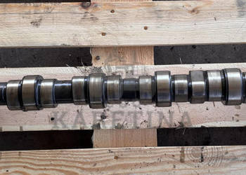 Deutz TCD 2013 L06 4V TCD2013L064V Wałek Rozrządu Koło Zębate CZĘŚCI 04902…