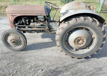 Sprzedam Fergusona TED 20