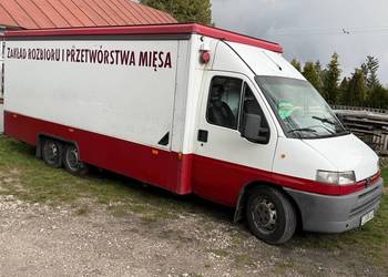 Peugeot Boxer Food Truck Sklep Mobilny