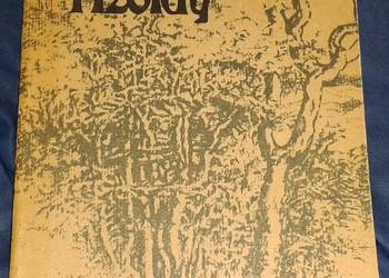 Dzieje Tristana i Izoldy - Joseph Bedier
