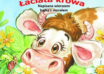 Łaciata krowa Robert Kuśta