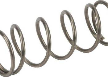 Sprężyna GT 350 AK346678