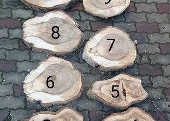 Plastry drewna orzech