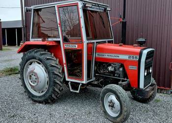 Ursus MF 255 Ferguson