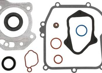 Zestaw uszczelek silnika 84006591