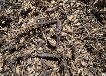 Zrębki do wędzenia