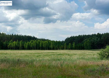 Grunt Zgniłocha 1039m2