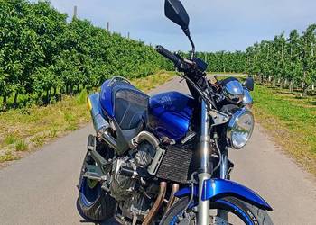 Honda CB600F Hornet A2