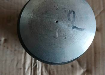 Dzik 21 nowy oryginalny tłok