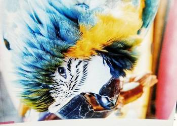 Biologia 2 Biomedica