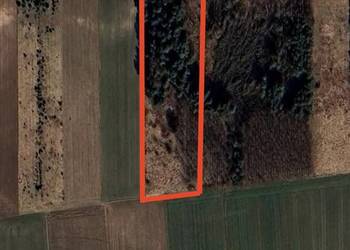 Sprzedam działkę rolną, nieużytek rolny zalesiony