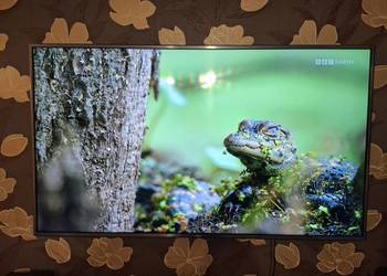 Telewizor LG UHD TV 4K 60" 60UH65