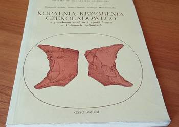 Kopalnia krzemienia czekoladowego z przełomu neolitu i epoki brązu Schild