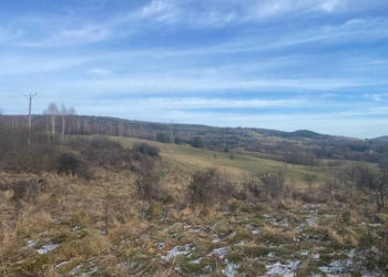 Grunt 6451m2 Ustjanowa Dolna Ustjanowa Dolna, bieszczadzki, województwo podkarpackie, Poland
