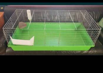 Duża klatka dla królika ,świnki morskiej