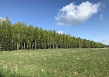 Las Brzozowy 2.85 ha wieś Werpol gm. Nurzec Stacja