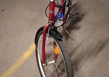 Rower włoski Ragazzi damka