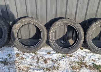 Opony Zimowe Imperial 225/55/17