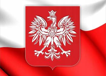 NAKLEJKA Grafika na samochód auto FLAGA POLSKI Polska GODŁO ORZEŁ 13x8,5