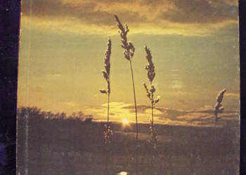 henryk pająk