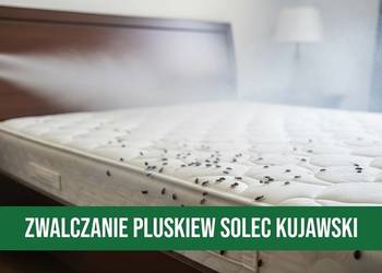 Zwalczanie Pluskiew Solec Kujawski - Odpluskwianie, Dezynsekcja