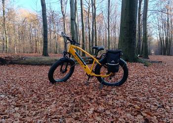 Rower elektryczny ENGWE E26