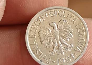 Sprzedam 10 gr 1981 r lekka skretka
