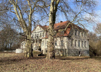 Na sprzedaż Zabytkowy Pałac z dużą działką!