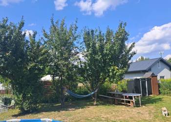 działka rekreacyjna ROD Kowal